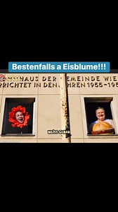 218K views · 2.1K reactions | Das passt! #Bundesregierung | Michael Moser | Facebook