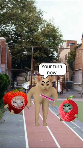 Finally Strawberry & Litchi Cat Friendship 🐱❤️ #catmemes #cat #shorts #fyp #bananacat