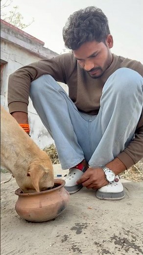 HeartTouching 😭 #emotional #doglover #dog #dogshorts #trendingshorts #shorts #viralshort #trending