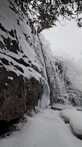 5K views · 546 reactions | Is this some kind of Yooper tradition that I don't know about? 藍 Watch until the end to see what I'm talking about 﫣略 #michigansupperpeninsula | Michelle Lutke | Facebook