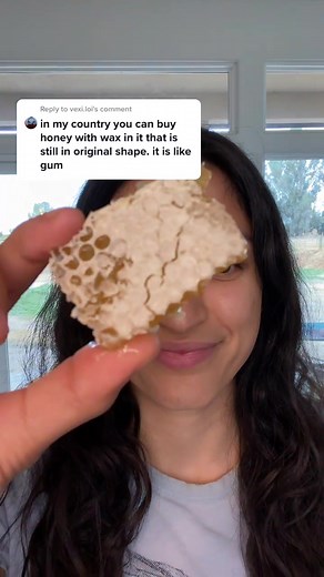 Satisfying Honeycomb ASMR Eating Video