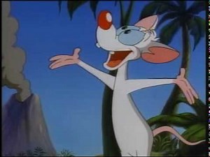 Pinky and the Brain