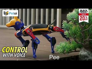 Learn Robotics & AI with Bittle X Robot Dog | PetoiCamp