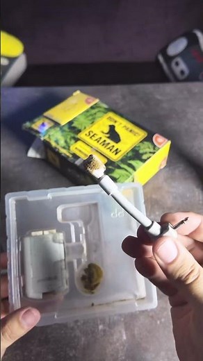 SEAMAN Dreamcast #обзор #ретроигры #dreamcast #seaman #распаковка #sega