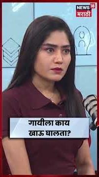 Startup Maharashtra | गायीला योग्य चारा दिला तर दुधावर भाकरीएवढी साय येते? | N18S