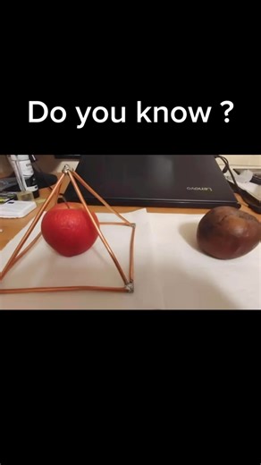 1989 | Follow for more info ✅ Testing the mystery of pyramid power! 🍎🔺 One apple under a copper pyramid, one left exposed. Can geometry really... | Instagram