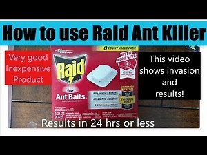 Raid Ant Killer Review
