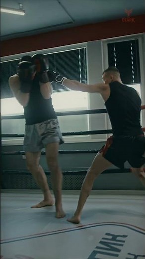 UFC History 1993 MMA Evolution to Global Sport Explained