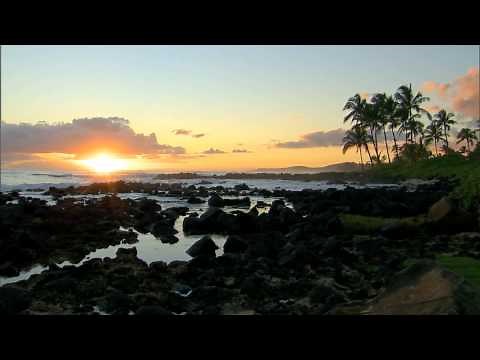 Discover Hawaii with Perillo Tours
