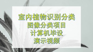 【计算机毕设】基于深度学习的室内植物识别分类【植物分类】【CNN】【Transformer】【卷积神经网络】