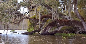 The History Of Salt Mining In Louisiana That's Now Swallowing Up The State