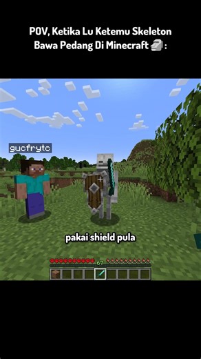 POV, Ketika Lu Ketemu Skeleton Bawa Pedang Di Minecraft 🗿