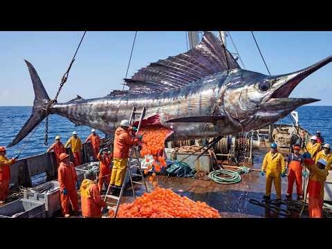 Encountering a Giant Swordfish at a Depth of 2,000 Meters | A Documentary on Sea Fishing