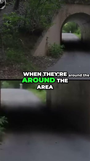 Bunny Man's Axe Attacks - Still On The Loose!