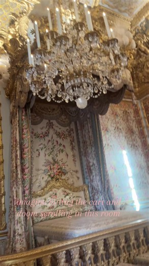 #marieantoinette #versalles #paris #fyp #viral