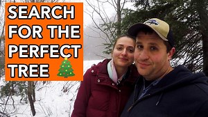 How to Tap Maple Trees for Sweet Vermont Syrup