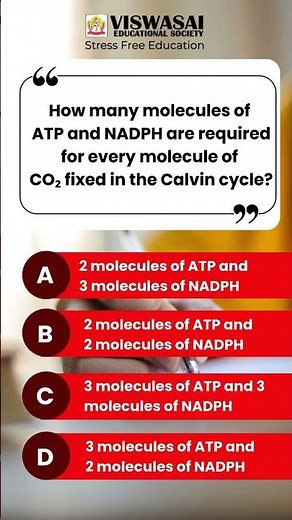 Calvin Cycle Made Easy: ATP & NADPH Role in NEET Zoology | Viswasai Junior College
