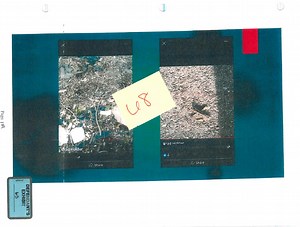 Odinism evidence filed in Delphi murders case as Richard Allen appeals conviction