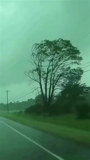 Exploring the Amazing Sounds of the Animal World