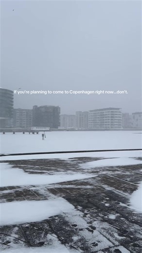 Winter Challenges in Copenhagen: A Guide