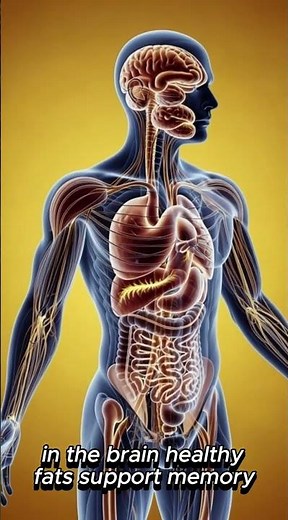 Hazelnuts Benefits Explained | Real Nutrition for Brain Heart & Energy