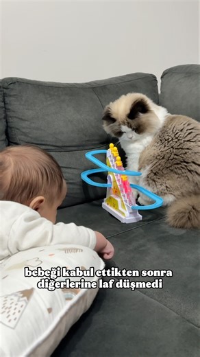 Meet my son 🧿 We'd appreciate a "mashallah" (blessing) 🤍 #motherandbaby #catlife #explore #pregna...