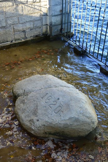 Talk to the Rock - Learn Everything About Plymouth Rock