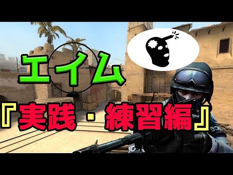 【脱初心者】エイム上達法！実践・練習編！