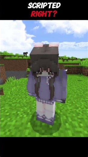 WHAT IS THIS SCRIPT?! #shorts #minecraft #trending #viral