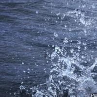 Nevada man drowns near Quincy, California