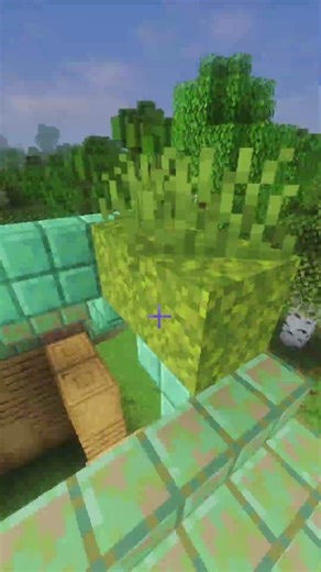 Wooden Minecraft House Building Sounds #minecraft #minecraftbuilding#mincraftshorts #building