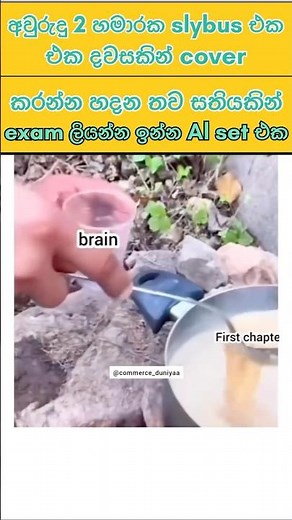 අය්යෝ සාමී මොලේ😓🥲#mathsapi#bioapi