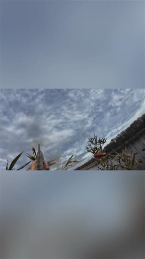 Steven Kidd on Instagram: "Duck calling secrets. Shot selection skills. Decoding duck behavior from the blind. Elevate your hunt. #DuckHunting #WaterfowlHunting #HuntingTips #DuckCalls #ShotgunSkills #HuntingSeason #OutdoorLife"