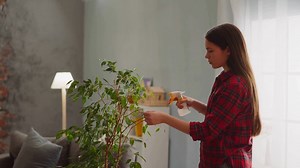 #SucculentPests #PlantCare #GardeningTips #PestControl #SucculentCare #HealthyPlants #GardeningHacks #HomeGarden #OrganicPestControl #PlantProtection