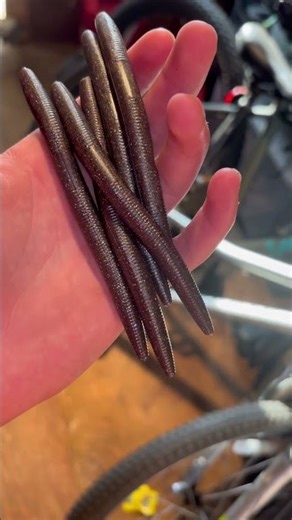 Homemade Senkos #homemade #handmadelure #baitmaking #godfirst #fishinglures