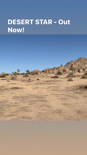 Michael Connelly Books on Reels