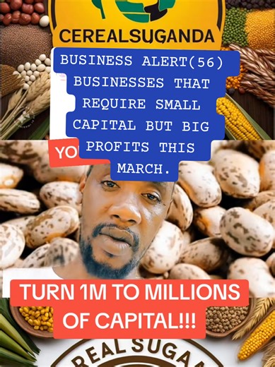 Profitable Small Capital Businesses in March