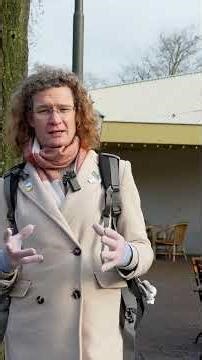 Trouble at Dream Flight! #efteling #shorts #themepark