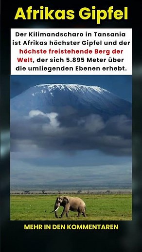 Besteigung des Kilimandscharo: Vom Äquator zur Arktis in einer Woche! 🏔️🌍