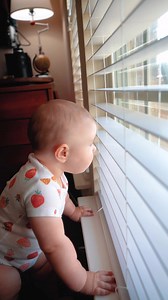 10M views · 91K reactions | How does she knows it's a girl squirrel? #funny #funnybaby #squirrel | Darrell Ducharme | Facebook