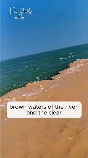 Amazon River Meets Ocean is EPIC!