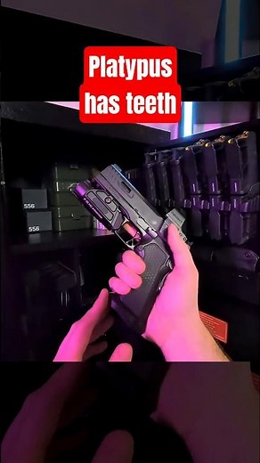 The Stealth Arms Platypus is insane, but this one thing makes it difficult to touch