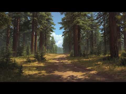 Deep Calm Forest Beats – relaxing sound