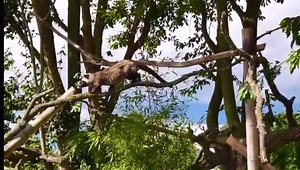 476 reactions · 447 shares | *Competition Below* Who’s ready for a...