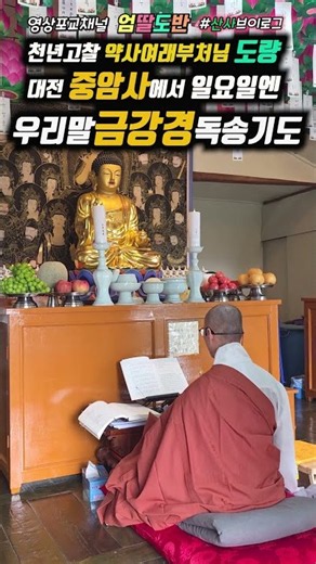 [#수행브이로그]우리말금강경 독송할수록 #마음공부 #엄딸도반 #대전중암사 #천년고찰 #금강경독송#mz스님