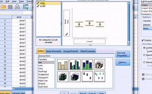 SPSS How to create an error bar chart