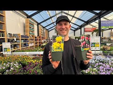 Perennials You Can Plant NOW for Beautiful Spring Color | Perennial Garden