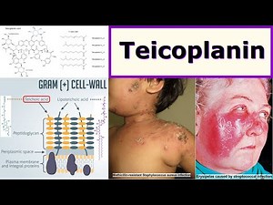 teicoplanin