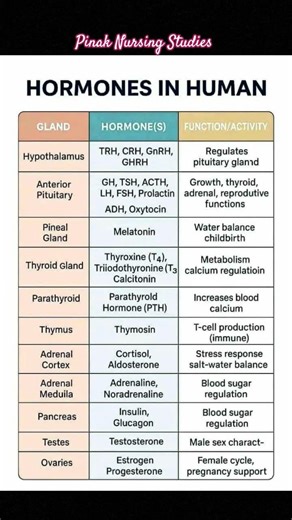 Hormones | Gland | Function of hormones