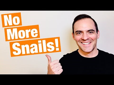 3 Ways To Get Rid Of Aquarium Pest Snails